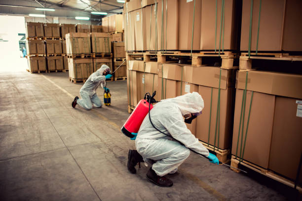 Best Best Pest Control Companies  in Cameron, TX