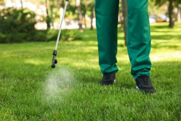Best Affordable Pest Control Services  in Cameron, TX
