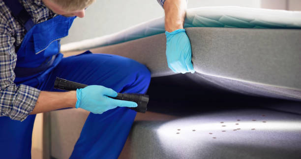 Best Local Pest Control Services  in Cameron, TX