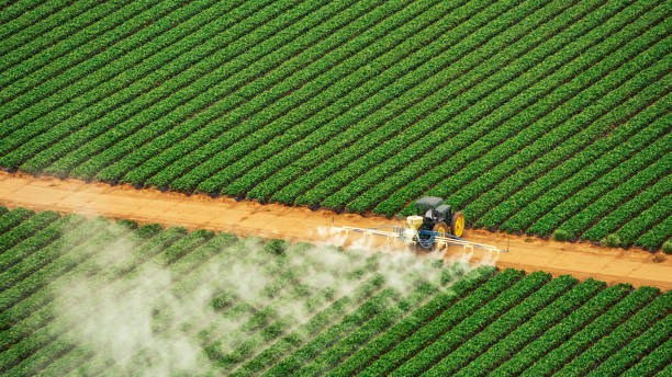 Best Affordable Exterminators  in Cameron, TX